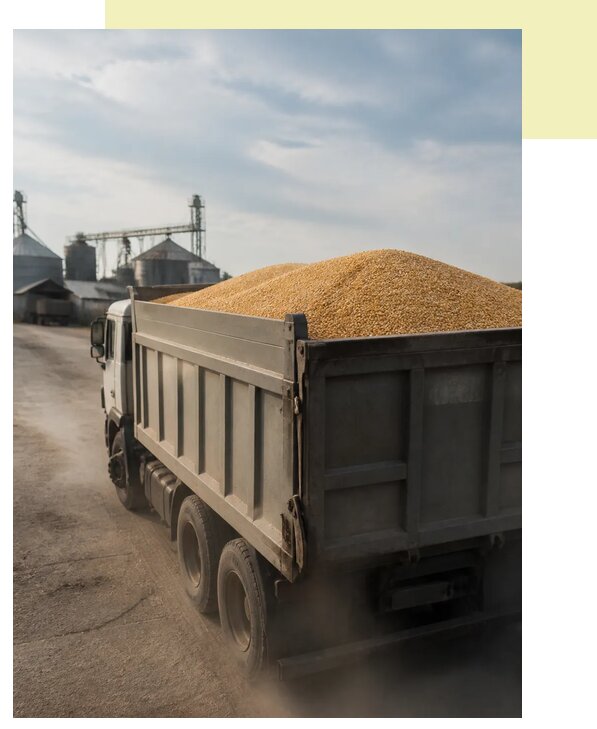 Перевозка сельхозпродукции навалом в Набережных Челны по цене от 3047 р. | Агросервис-Нбр